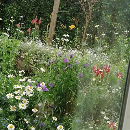Appartement Garden View House *
